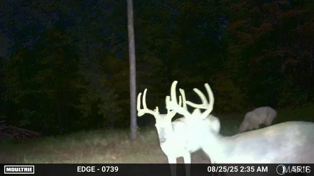 $148,000 | 410 Madison 410, Fredericktown, MO 63645