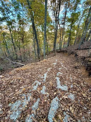 $148,000 | 410 Madison 410, Fredericktown, MO 63645