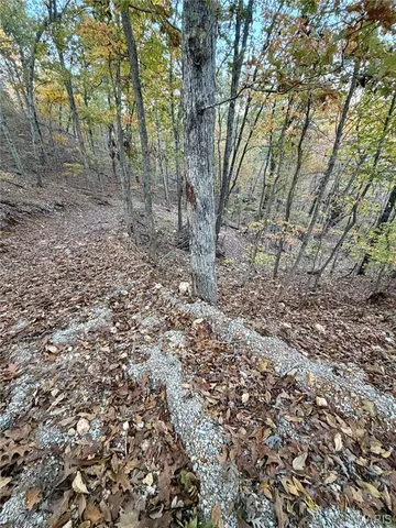 $148,000 | 410 Madison 410, Fredericktown, MO 63645