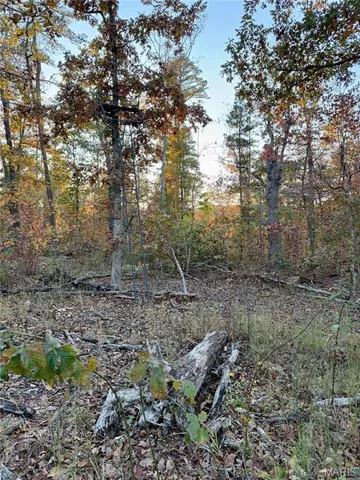 $148,000 | 410 Madison 410, Fredericktown, MO 63645