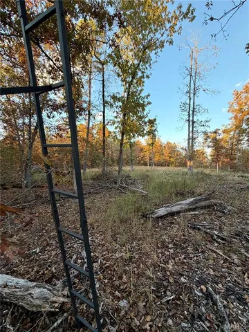 $148,000 | 410 Madison 410, Fredericktown, MO 63645