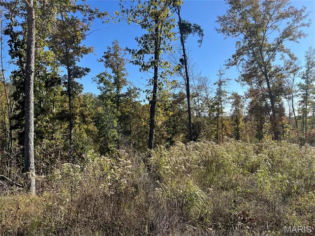 $148,000 | 410 Madison 410, Fredericktown, MO 63645