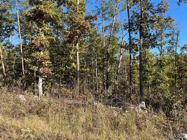 $148,000 | 410 Madison 410, Fredericktown, MO 63645