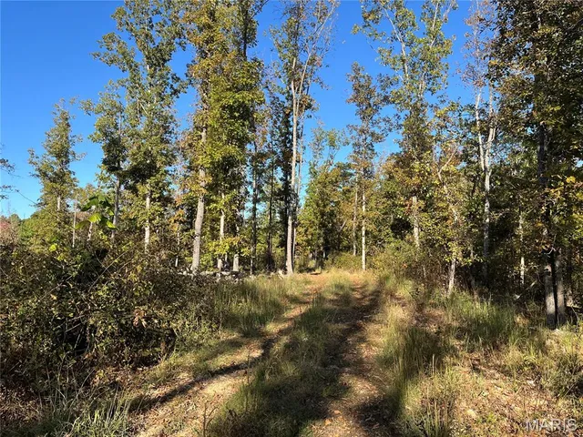 $148,000 | 410 Madison 410, Fredericktown, MO 63645