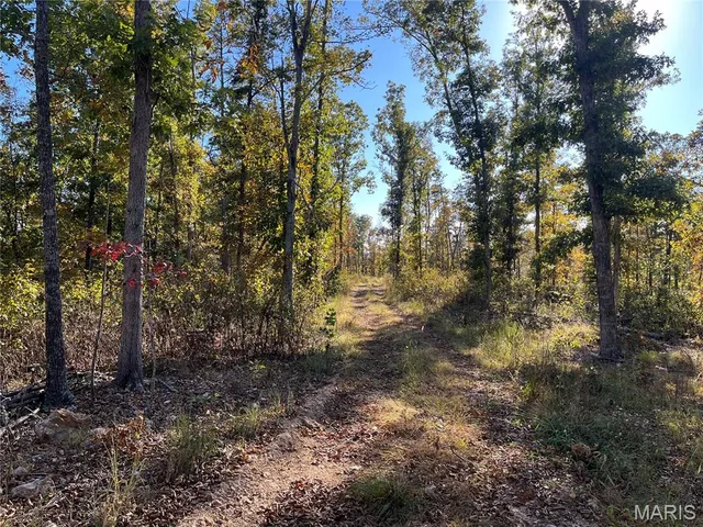 $148,000 | 410 Madison 410, Fredericktown, MO 63645