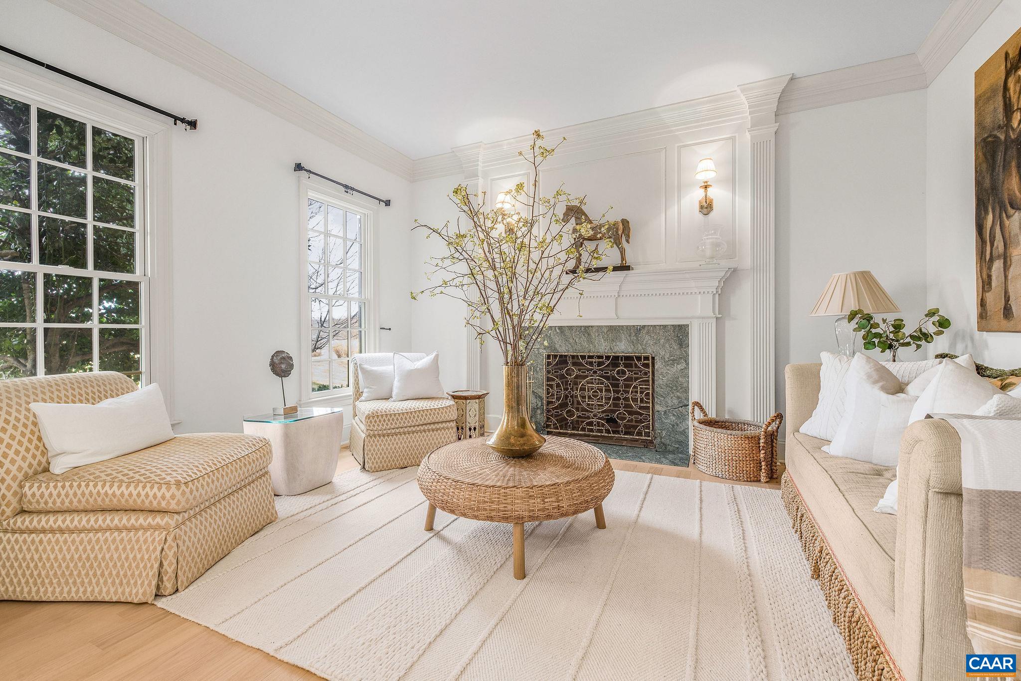 0 Ragged Mountain Drive Charlottesville, VA 22903 - Photo 11 of 70 a living room with furniture a fireplace and a potted plant