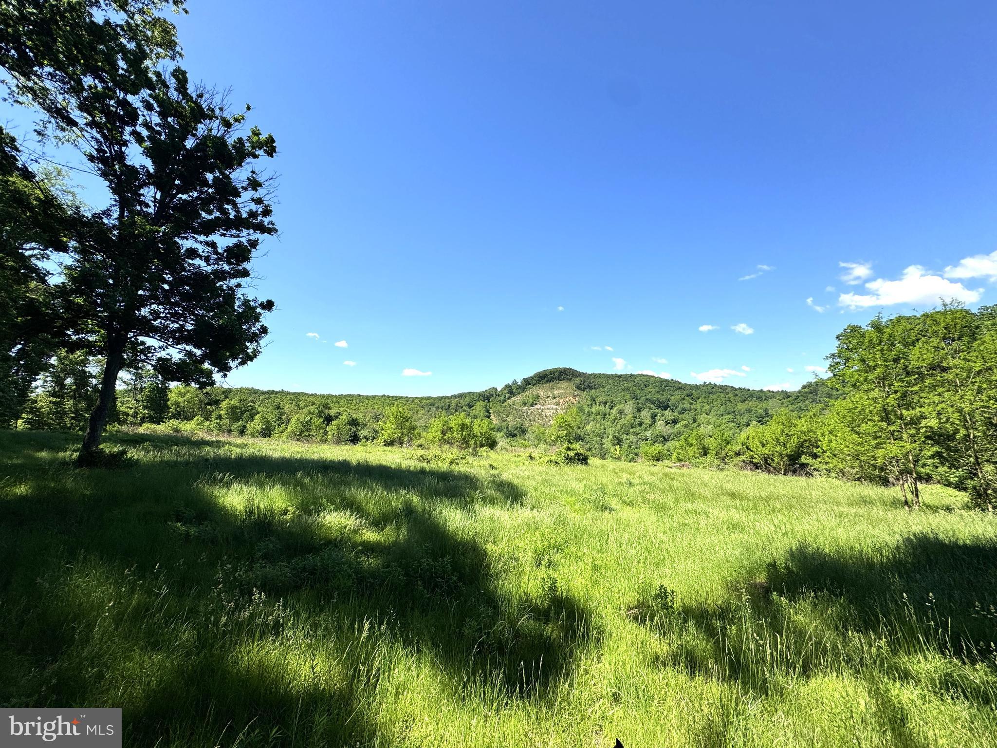 373 Strodes Run Road Lewistown, PA 17044 - Photo 7 of 7