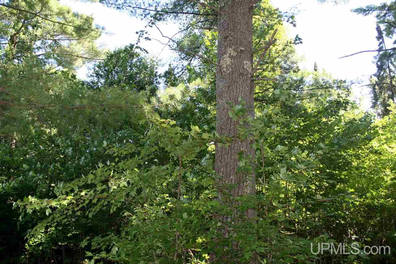E6450 East Cook's Lake Road Munising, MI 49862 - Photo 17 of 23