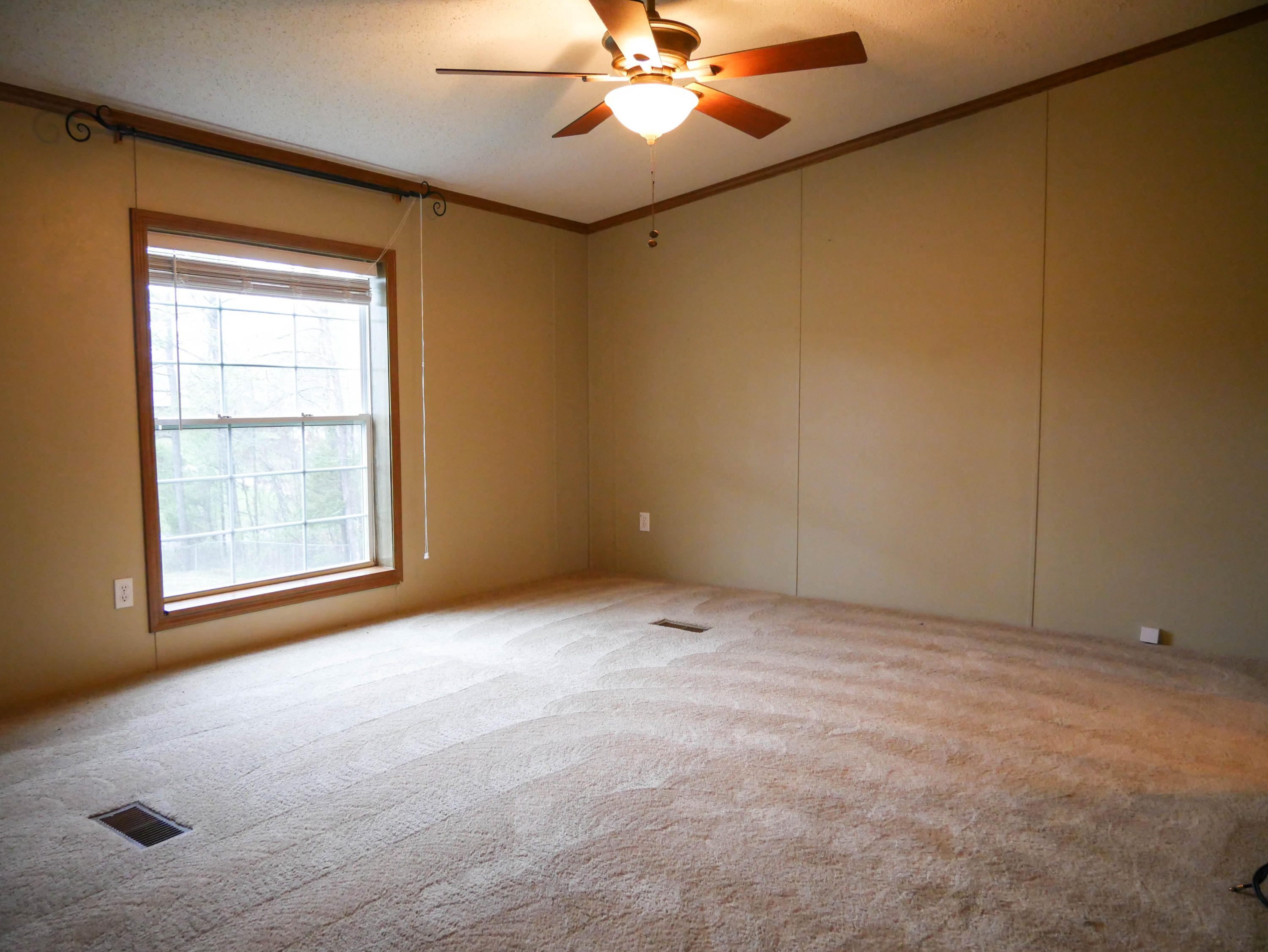 117 2nd Street Corryton, TN 37721 - Photo 11 of 23 P1030218