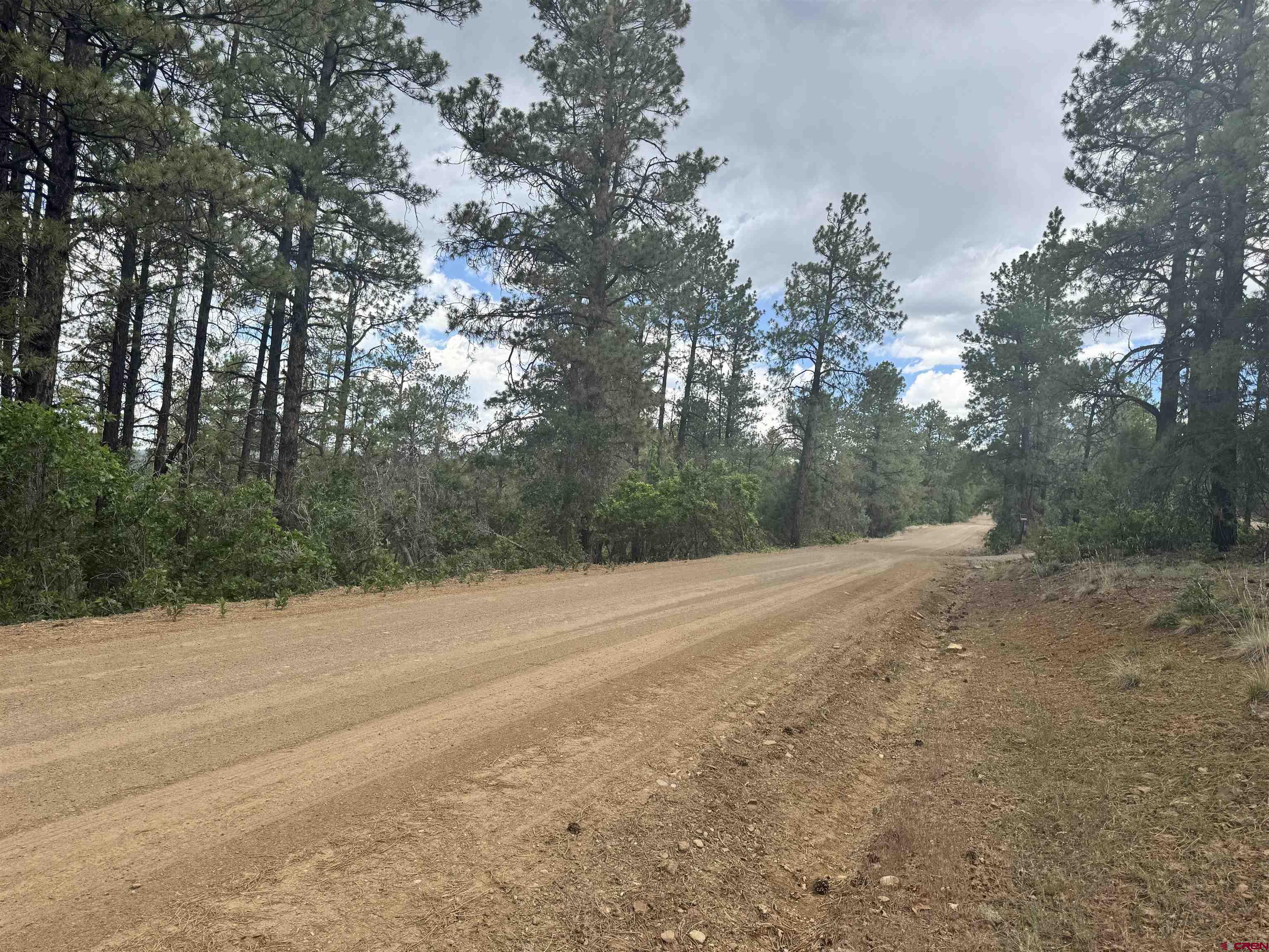 1259 Westview Road Pagosa Springs, CO 81147 - Photo 4 of 29