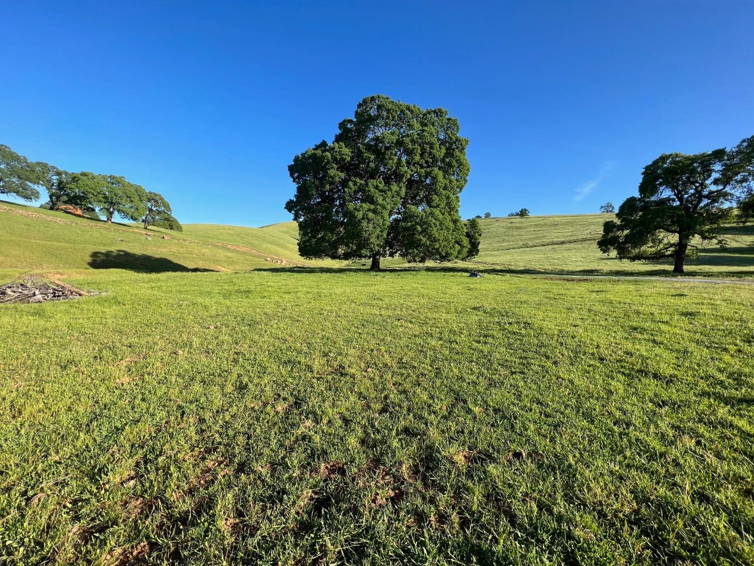 9840 New Chicago Road Drytown, CA 95699 - Photo 19 of 35 a view of a field with an ocean