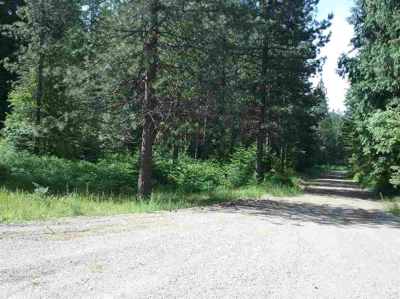 0 Lucky Joe Road Newport, WA 99156 - Photo 1 of 3 Gallery Image 1