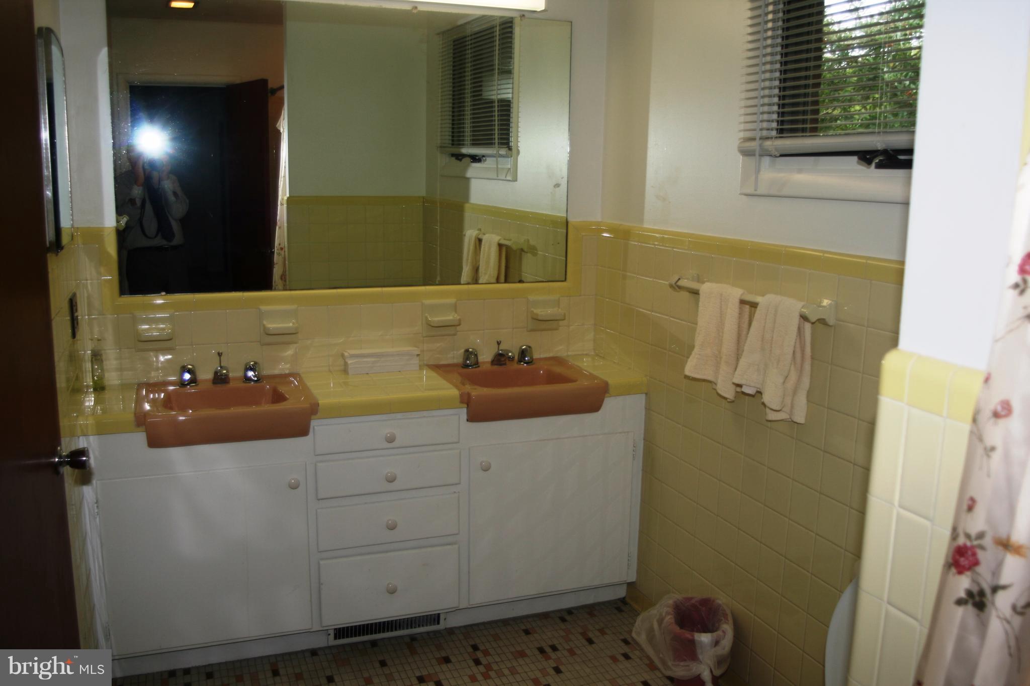 204 Valley Road Chestertown, MD 21620 - Photo 8 of 11 a bathroom with a sink and a mirror