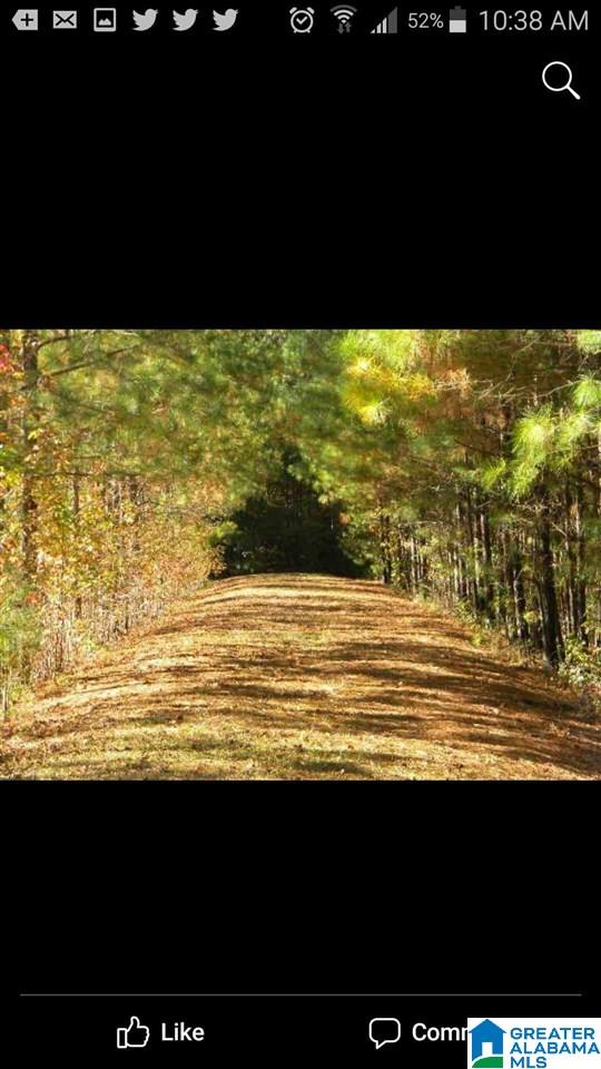 8008 Cedar Mountain Road Pinson, AL 35126 - Photo 18 of 48