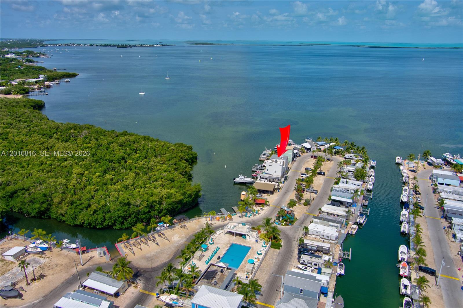 325 Calusa Key Largo, FL 33037 - Photo 26 of 32 a picture of flowers