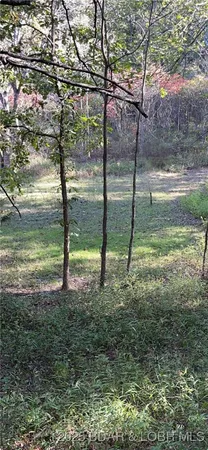 $95,000 | Quail Run, Preston, MO 65732