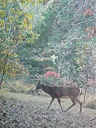 $99,900 | Quail Run, Preston, MO 65732