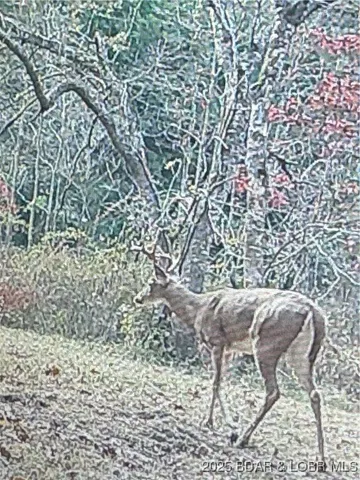 $99,900 | Quail Run, Preston, MO 65732