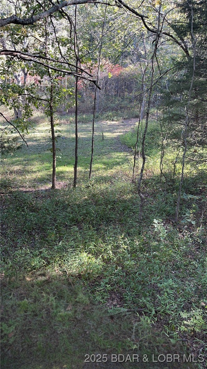 Quail Run Preston, MO 65732 - Photo 6 of 6
