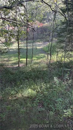 $99,900 | Quail Run, Preston, MO 65732