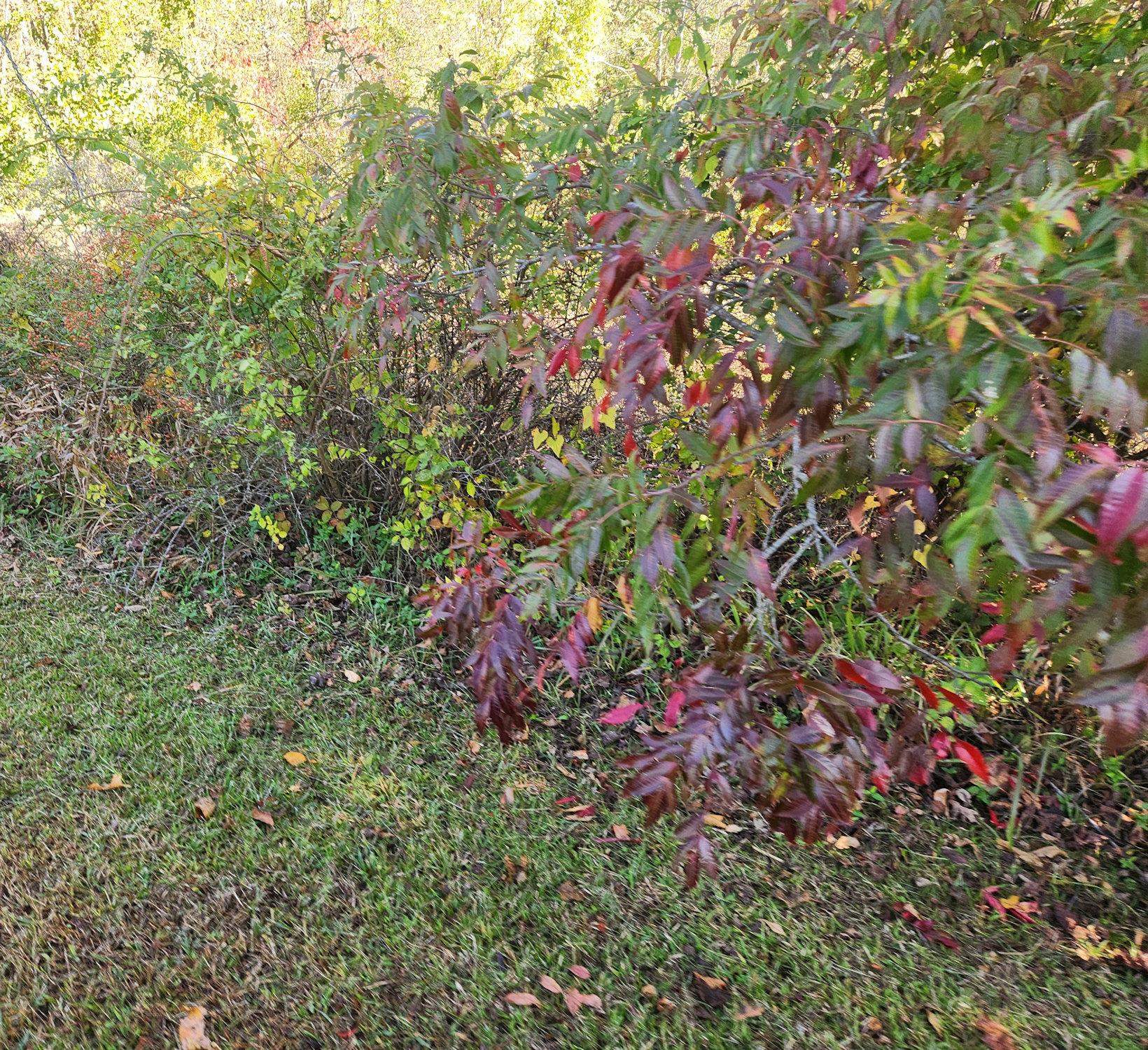 0 Kiser Fork Road Grayson, KY 41143 - Photo 41 of 48 Gallery Image 41