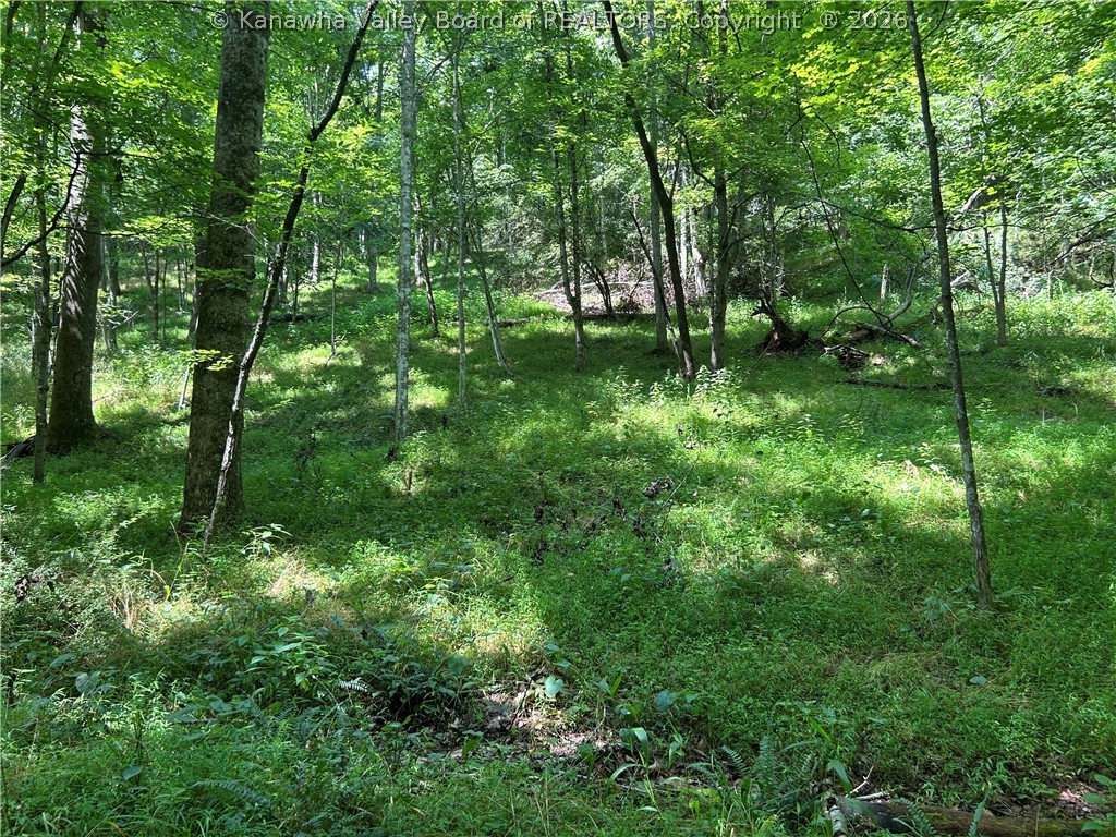 1640 Charleston Road Spencer, WV 25276 - Photo 5 of 13 Gallery Image 5