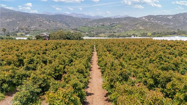 a view of an outdoor space and mountain view