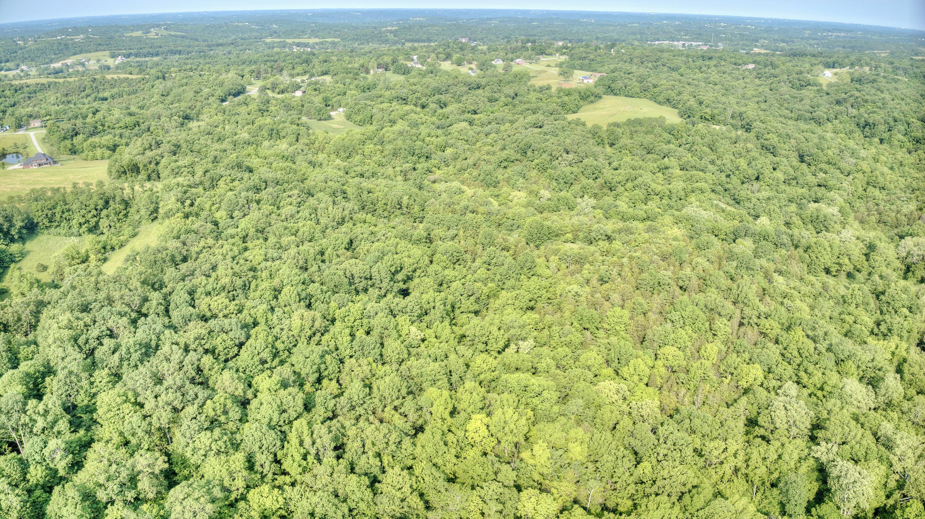 0 Peach Grove Road California, KY 41007 - Photo 8 of 22 06