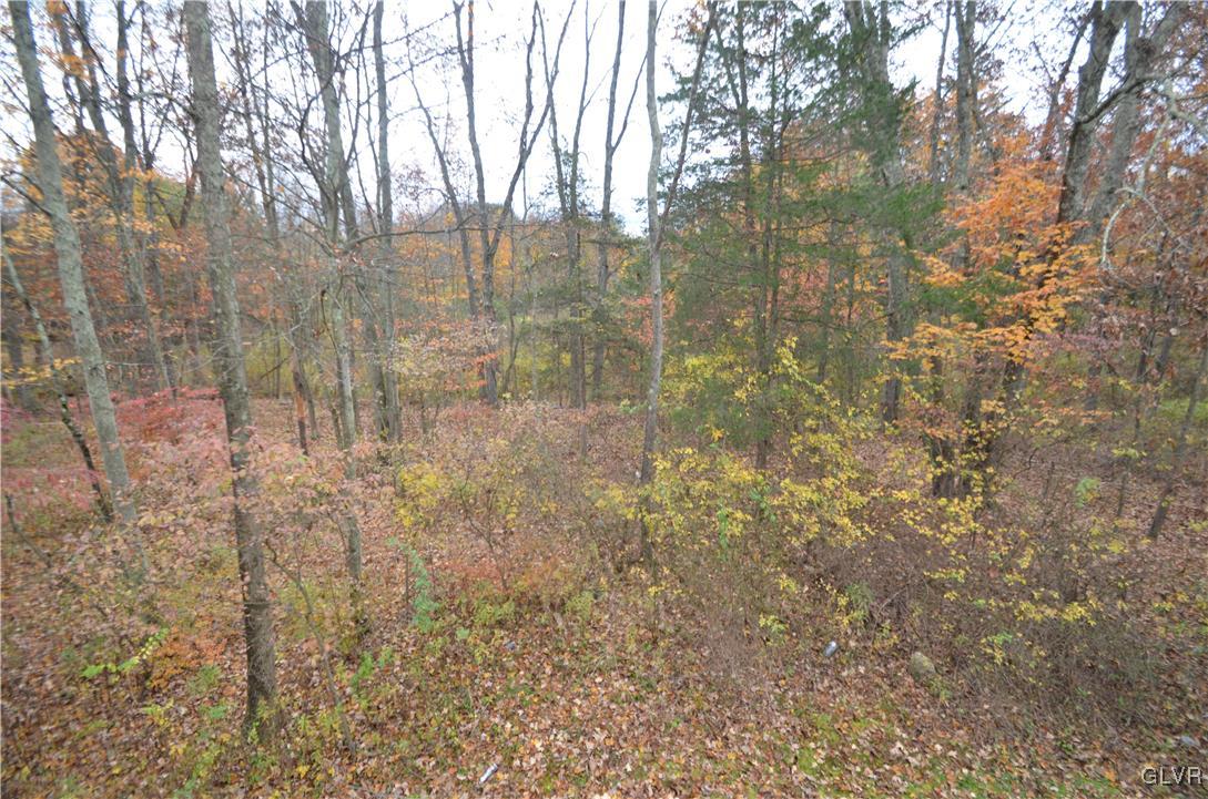5034 Pine Ridge Road East Stroudsburg, PA 18302 - Photo 18 of 19 Gallery Image 18