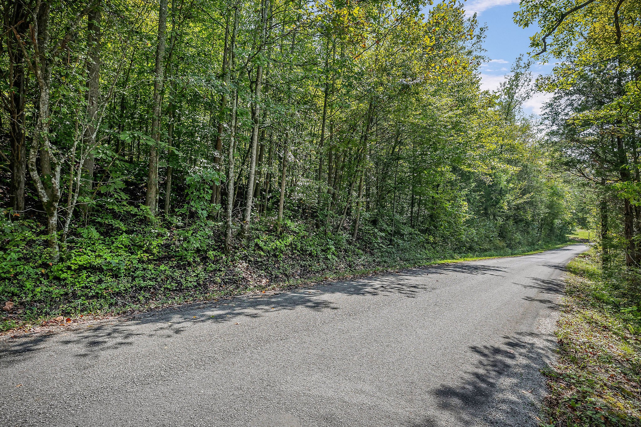 461 Shiloh Road Crawford, TN 38554 - Photo 13 of 15 a view of a road with a trees in the background