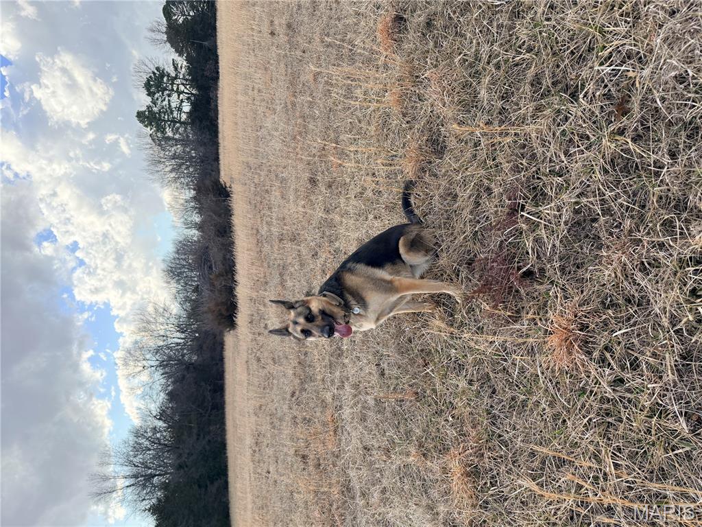 2-a 935 Audrain Road Mexico, MO 65265 - Photo 5 of 5