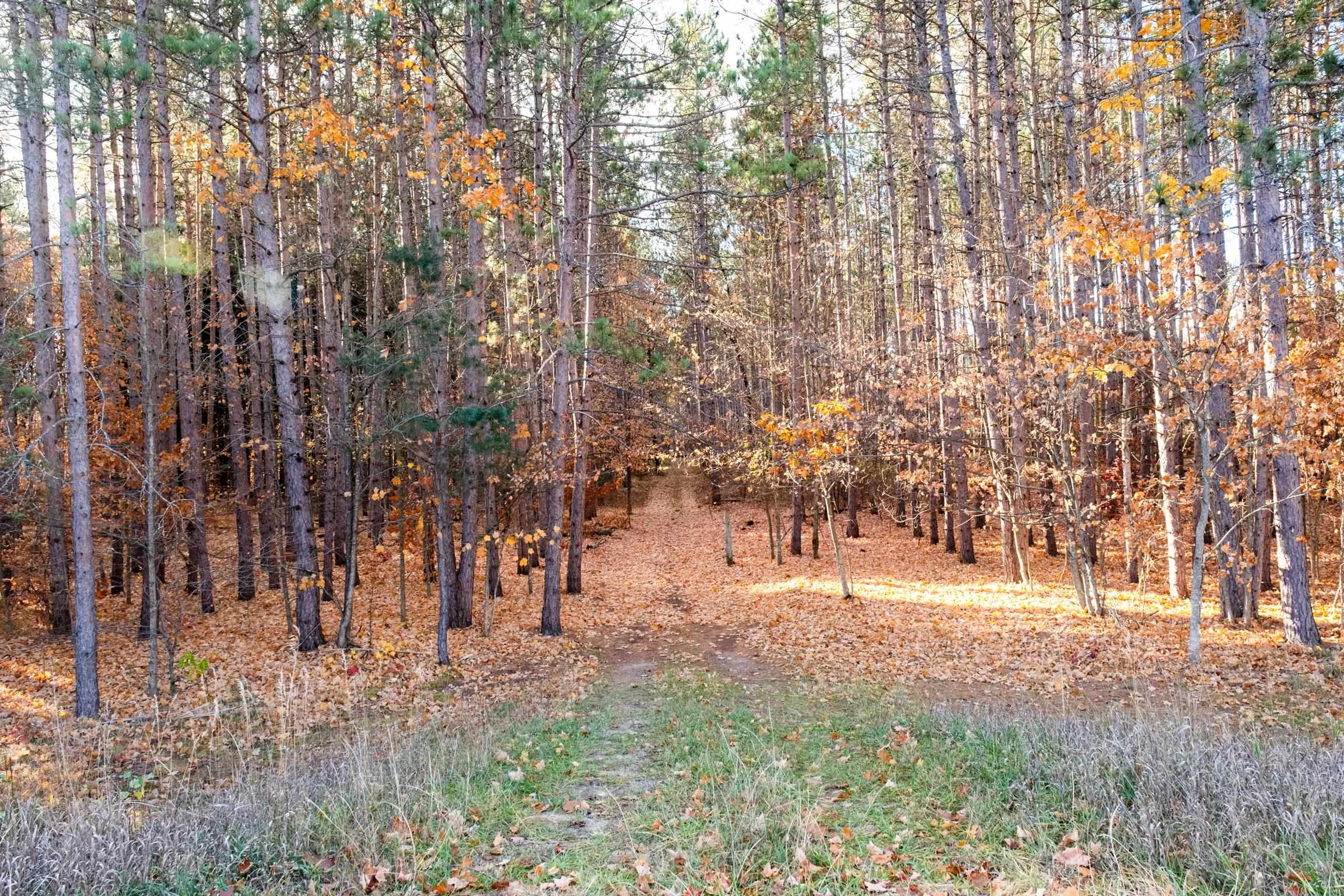 Lot A Thiel Road Traverse City, MI 49685 - Photo 5 of 12 Gallery Image 5