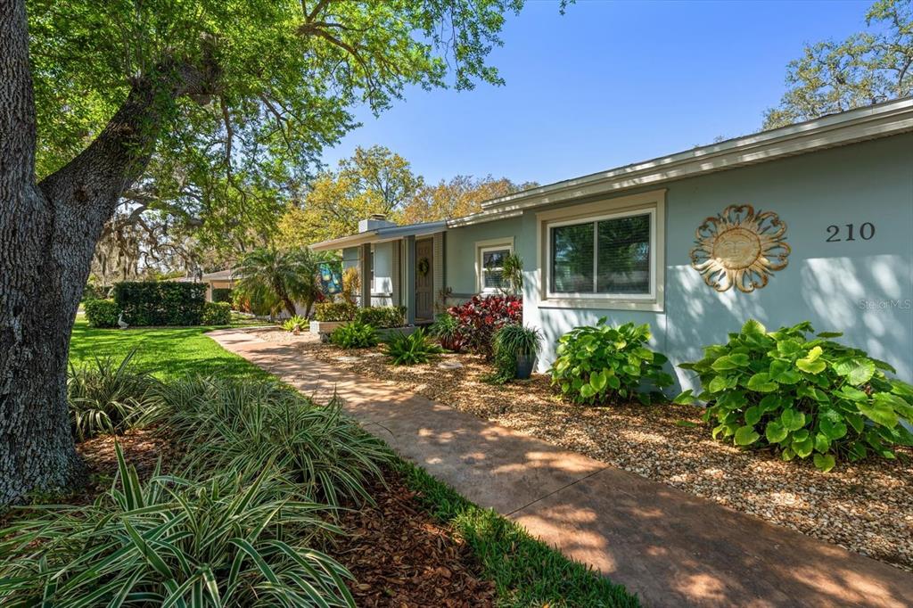 210 Live Oak Lane Largo, FL 33770 - Photo 1 of 1 a front view of house with yard and green space
