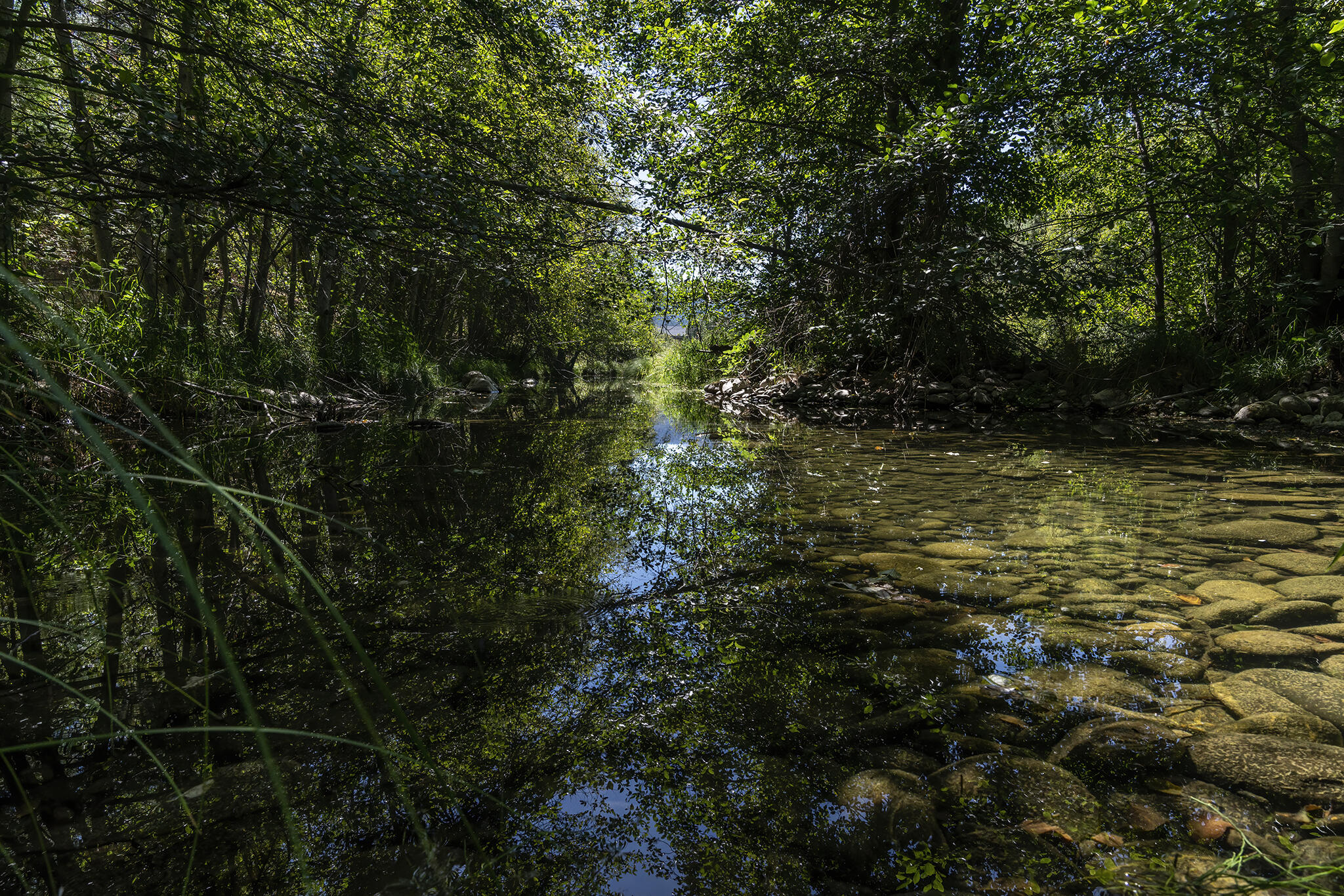 14738 Upper Applegate Road Jacksonville, OR 97530 - Photo 11 of 60 51_DSC07313_raw_den_shrp