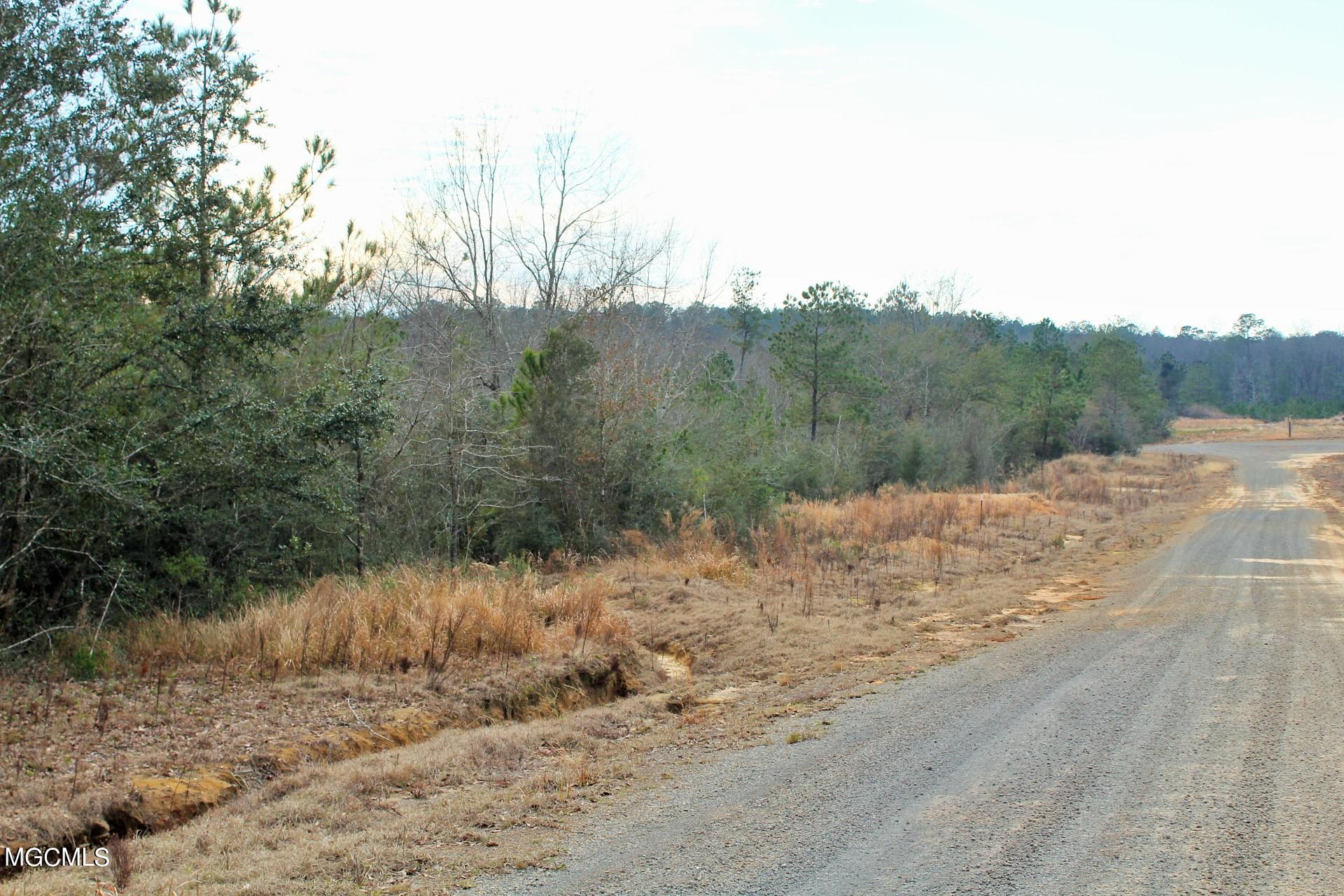 10.08-ac Buddy Finch Road Lucedale, MS 39452 - Photo 7 of 10 IMG_8471