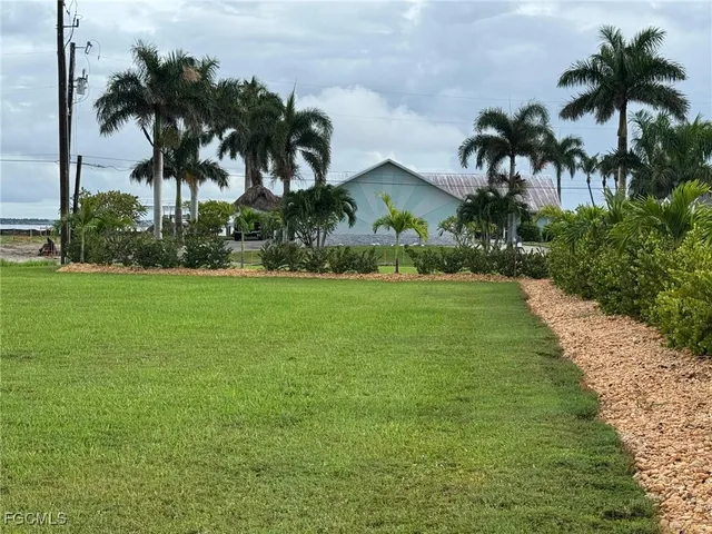 a view of a yard and palm trees