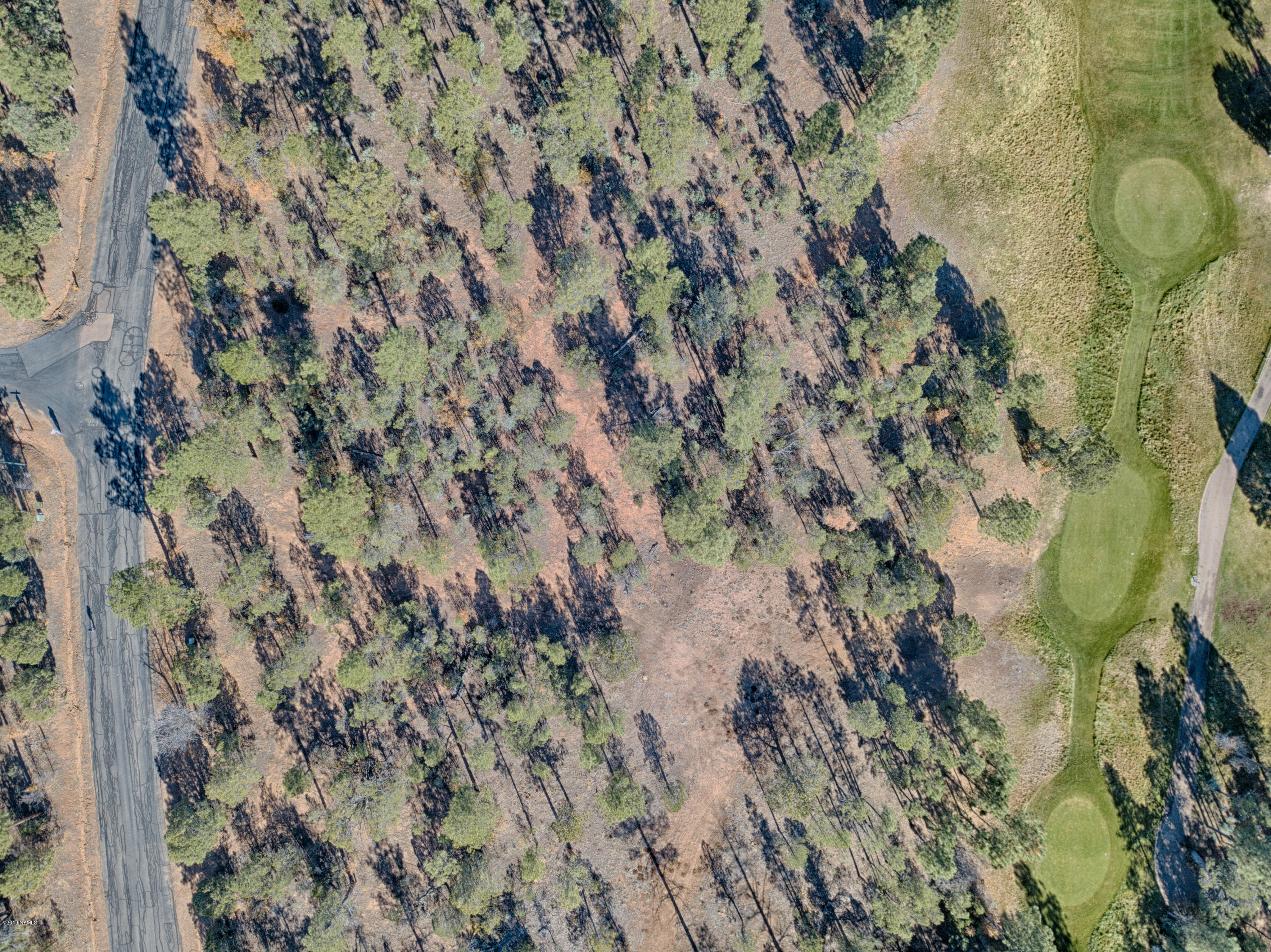 1541 South Falling Leaf Road Show Low, AZ 85901 - Photo 7 of 13 Aerial