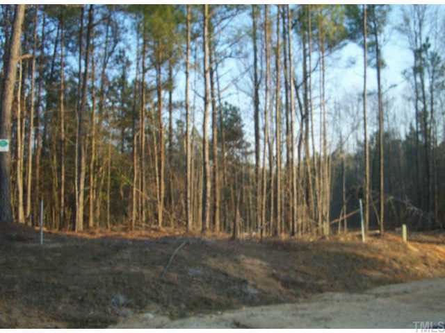 3621 Griffice Mill Road, Unit LOT20 Raleigh, NC 27610 - Photo 1 of 1 a view of outdoor space with plants