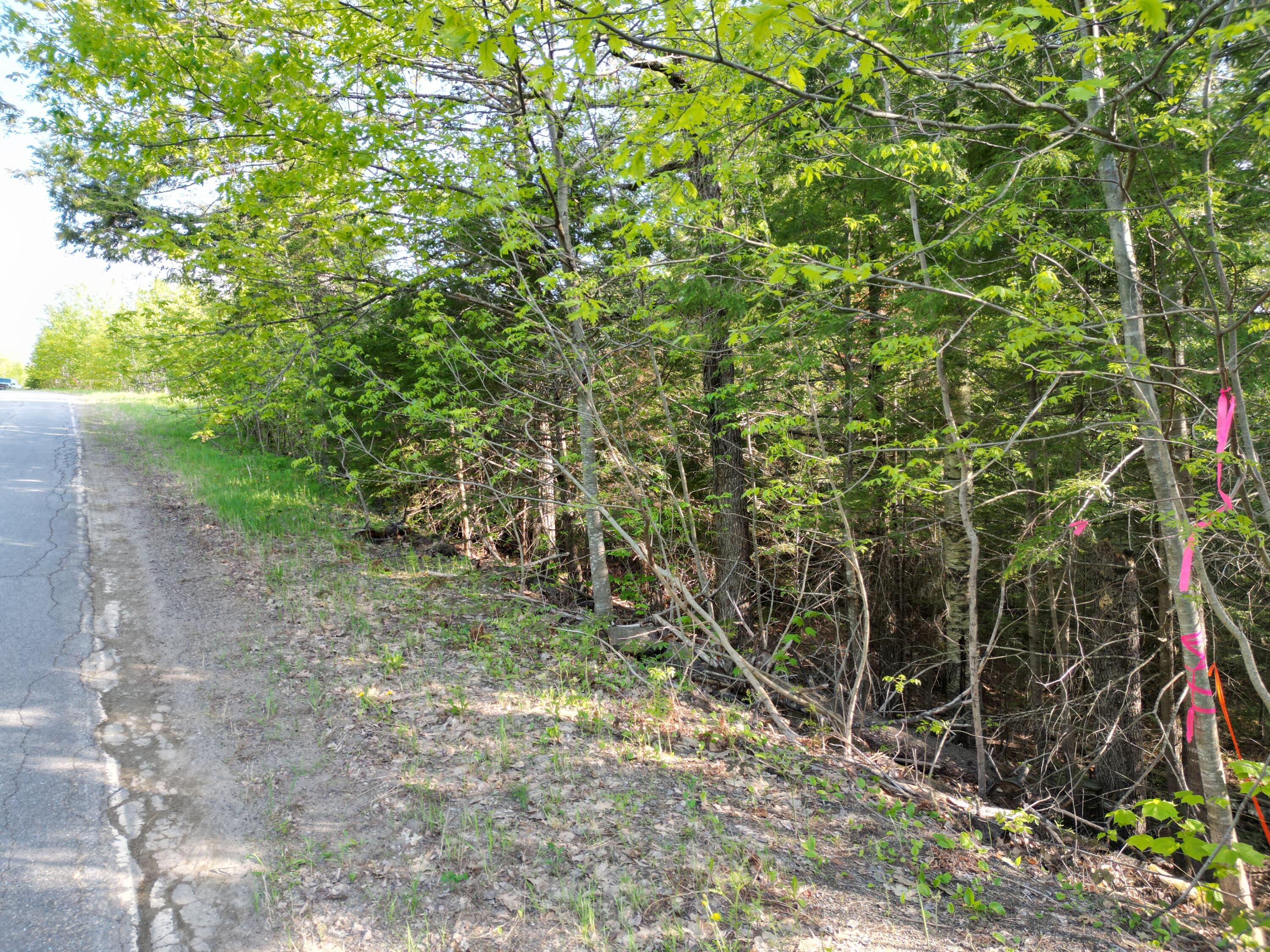 Lot 41-1 Bottle Lake Road Lakeville, ME 04487 - Photo 14 of 23 DJI_0613