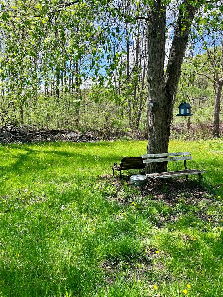 35 Burch Hill Road Veteran, NY 14864 - Photo 1 of 1 Quiet back yard