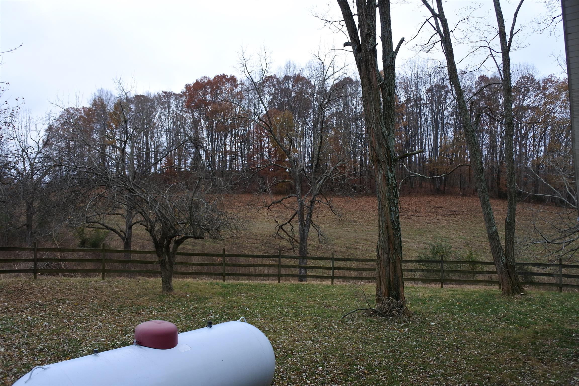 375 Lonesome Valley Road Allons, TN 38541 - Photo 15 of 23 a view of yard with trees