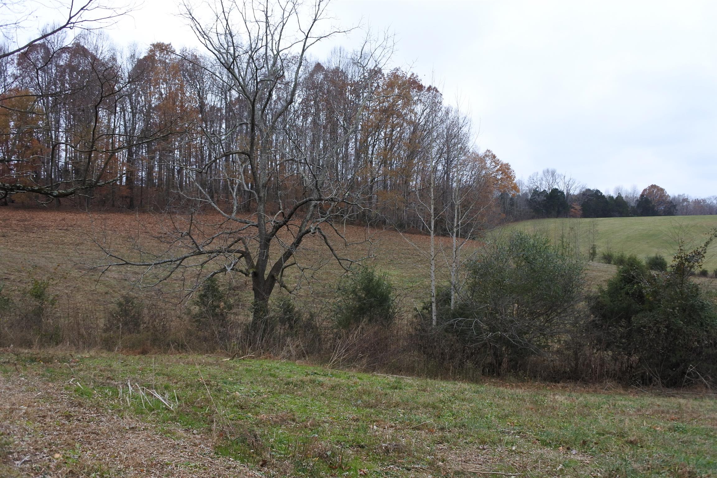 375 Lonesome Valley Road Allons, TN 38541 - Photo 16 of 23 a view of a yard