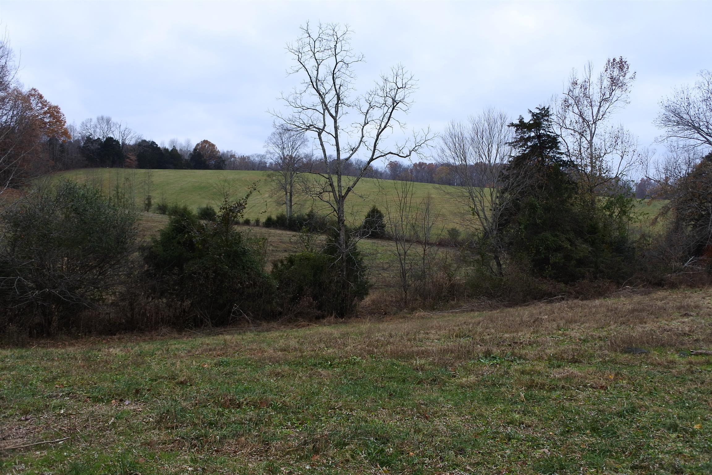 375 Lonesome Valley Road Allons, TN 38541 - Photo 17 of 23 a view of a yard