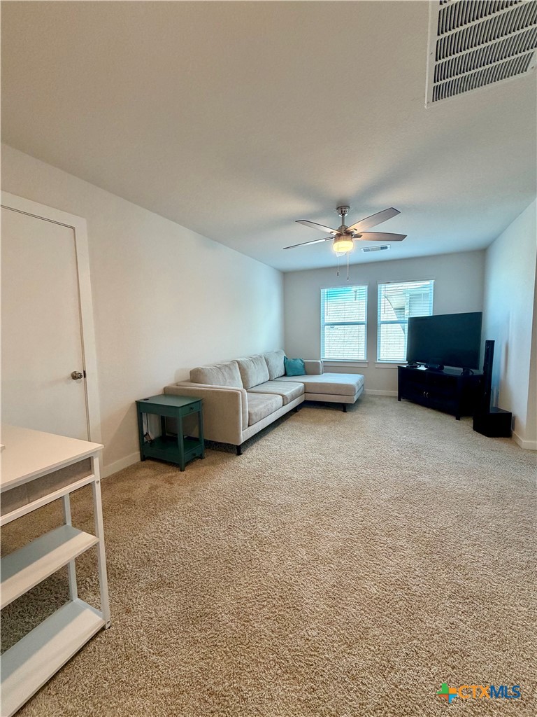 115 Rosa Road San Marcos, TX 78666 - Photo 11 of 23
