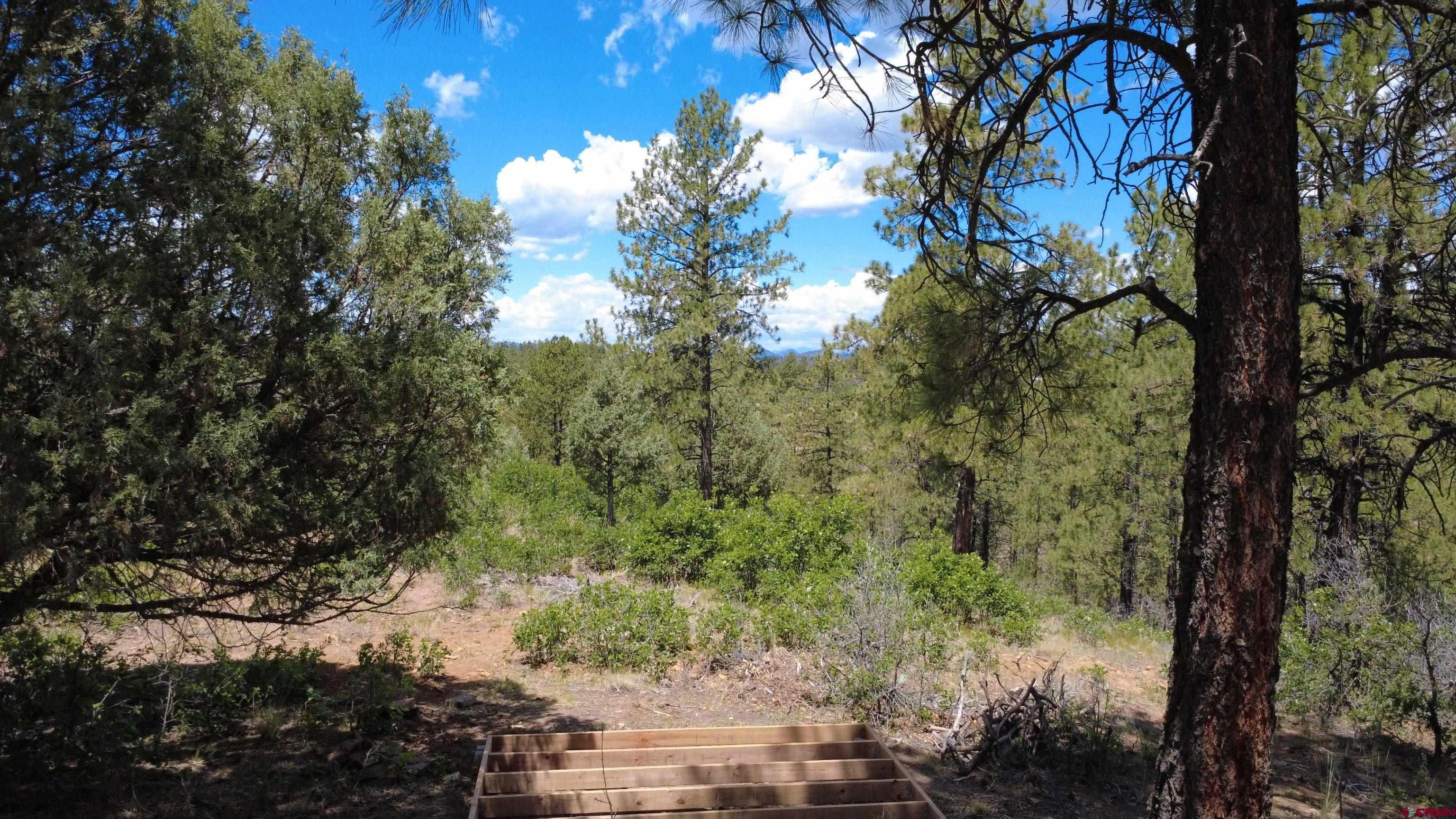 121 Engineer Point Pagosa Springs, CO 81147 - Photo 10 of 43