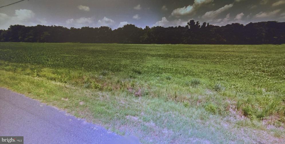 Brittingham Road Delmar, DE 19940 - Photo 1 of 3