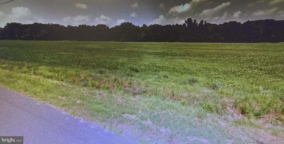 Brittingham Road Delmar, DE 19940 - Photo 2 of 3