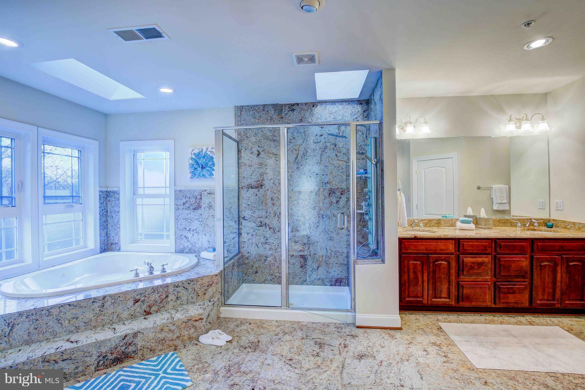 19120 Aquasco Road Brandywine, MD 20613 - Photo 38 of 63 Master Bath-Marble-Double Vanities-Skylights