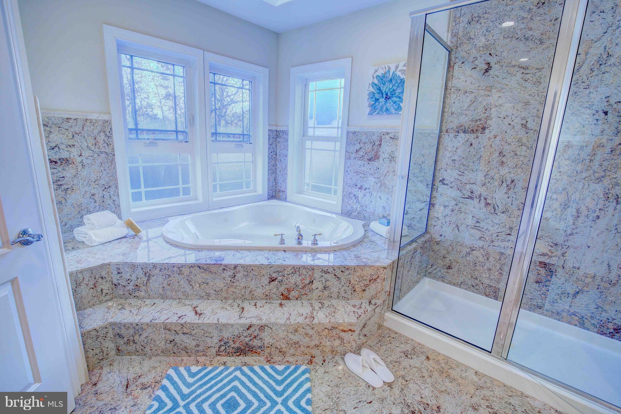 19120 Aquasco Road Brandywine, MD 20613 - Photo 40 of 63 Master Bath-Marble-Double Commodes-Jetted Tub