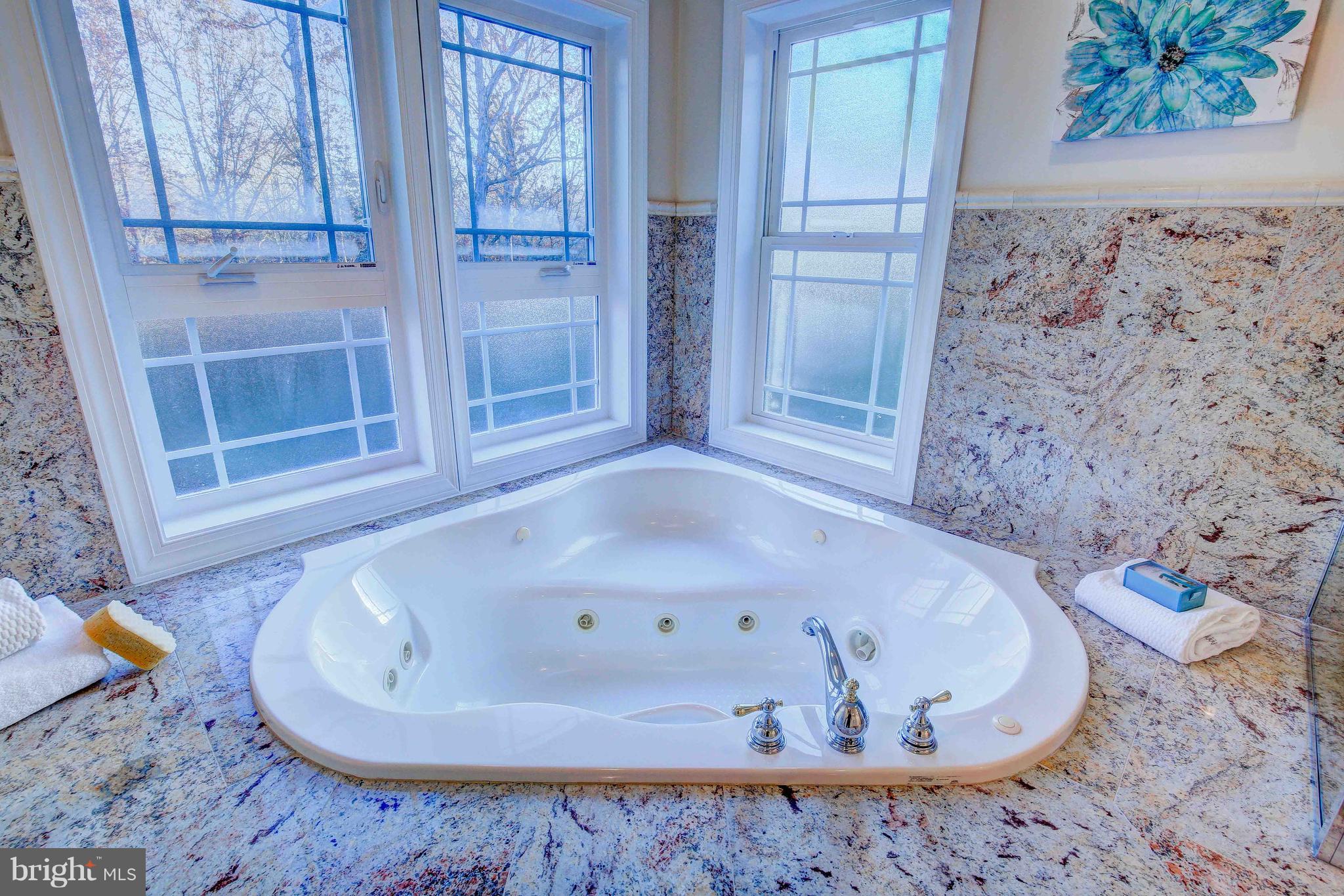 19120 Aquasco Road Brandywine, MD 20613 - Photo 42 of 63 Master Bath-Jetted Tub-Skylights-Marble Surround
